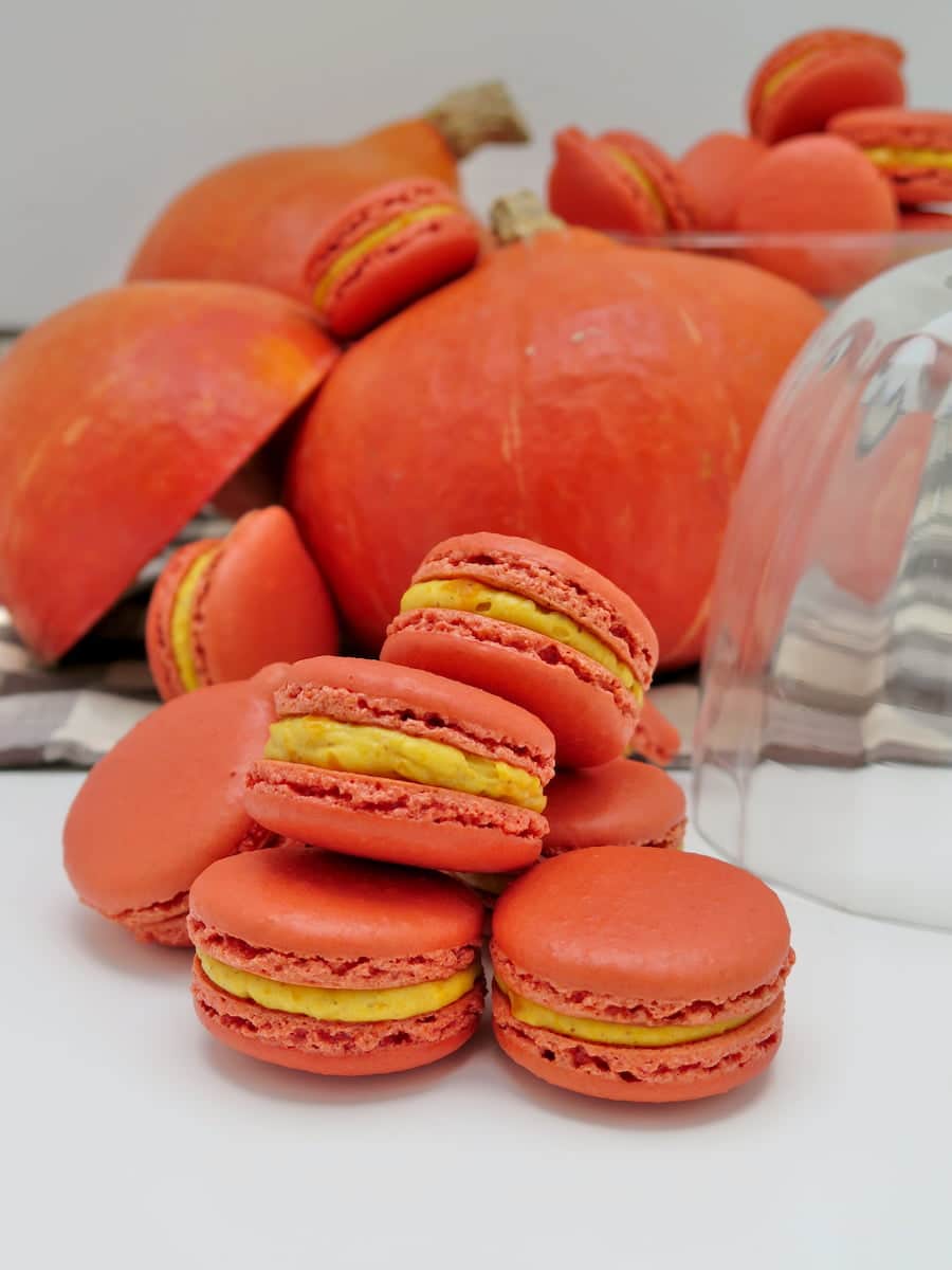 brightly coloured pumpkin macarons next to a Japanese chestnut pumpkin the same colour