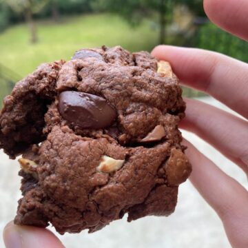 chocolate brownie cookie
