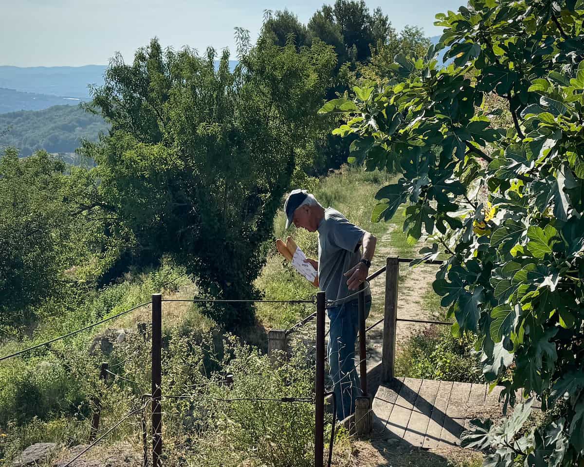 Frenchman holding two french baguette loaves by a fig tree in Provence