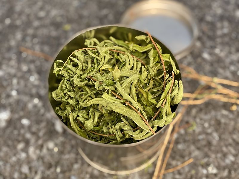 dried lemon verbena leaves