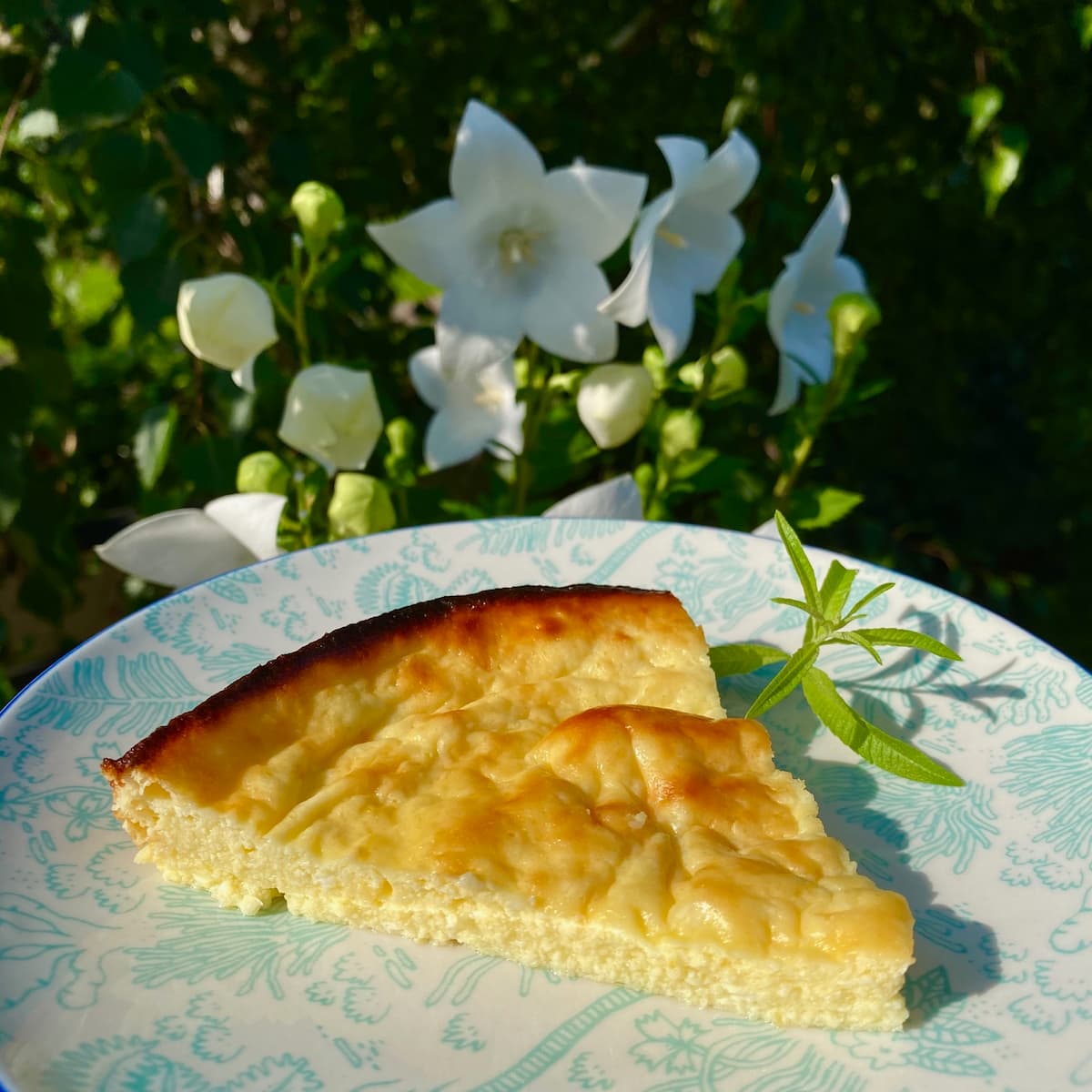 slice of fiadone cheesecake