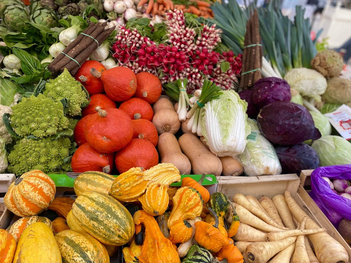 colourful pumpkins and winter vegetables French market