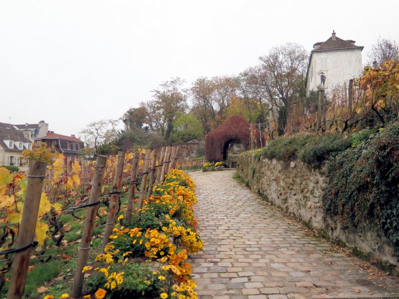 Montmartre chocolate pastry walk vineyards
