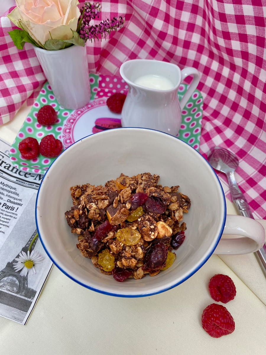 bowl of chocolate granola with berries