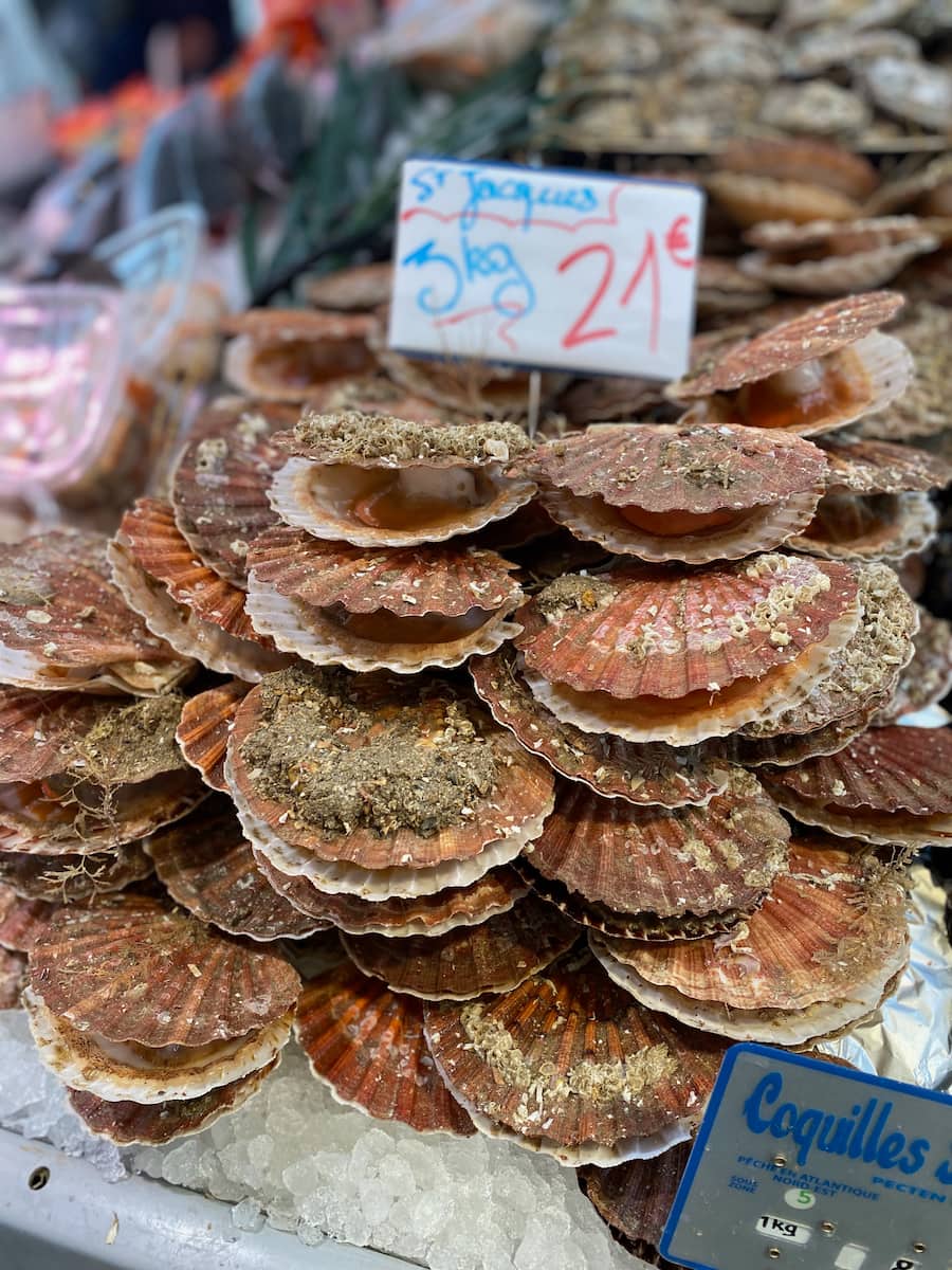 piles of fresh scallop shells, piled high at a French market with price in euros