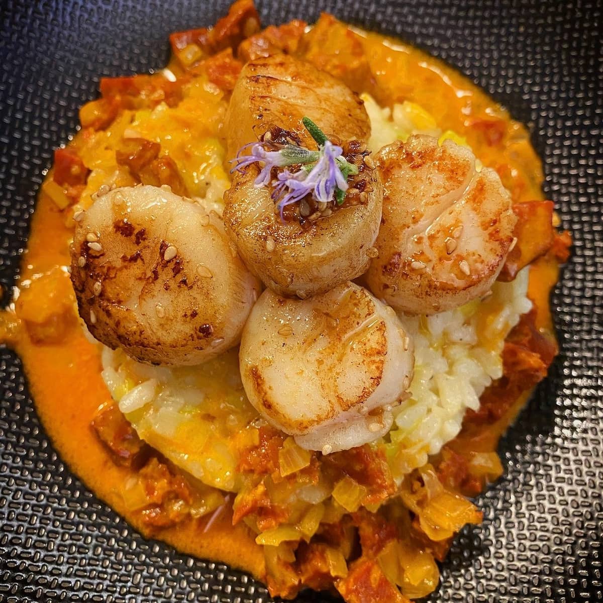 creamy risotto topped with seared scallops and chorizo sauce and an edible flower