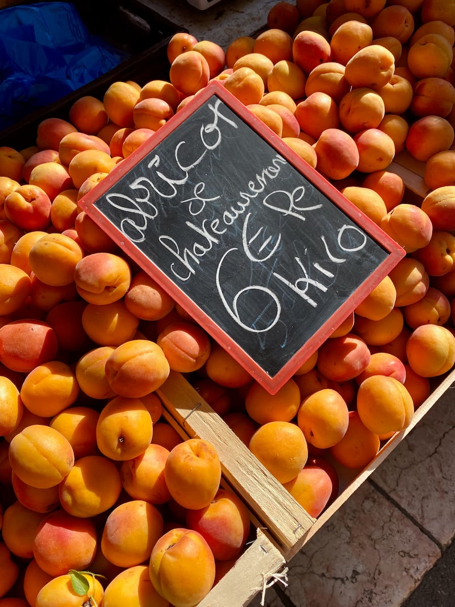 a crate of French apricots at the farmer's market, showing popular varieties