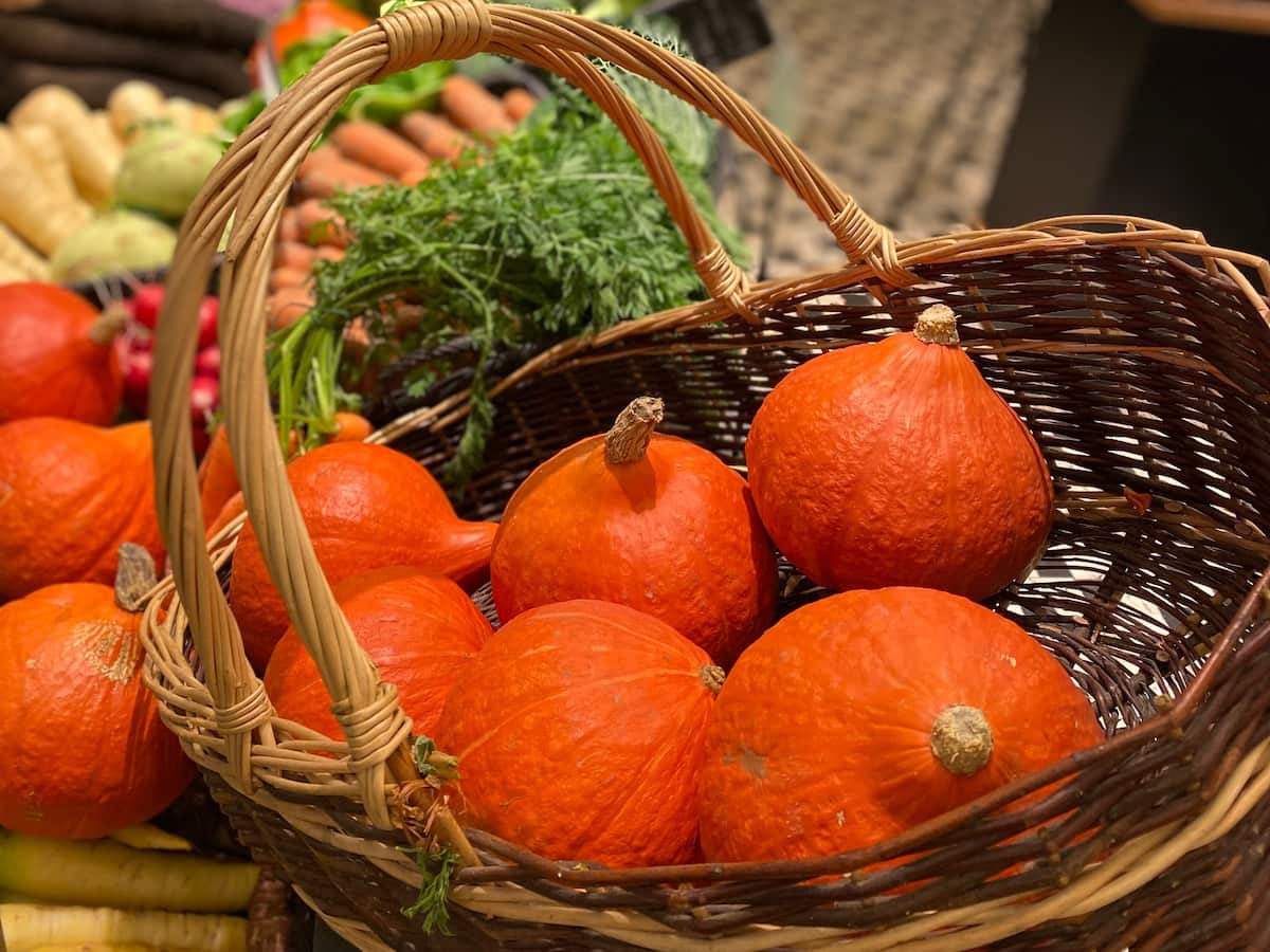 basket of pumpkins