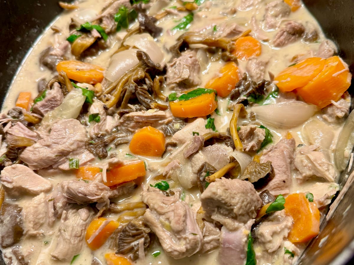 Blanquette recipe with chicken and wild mushrooms