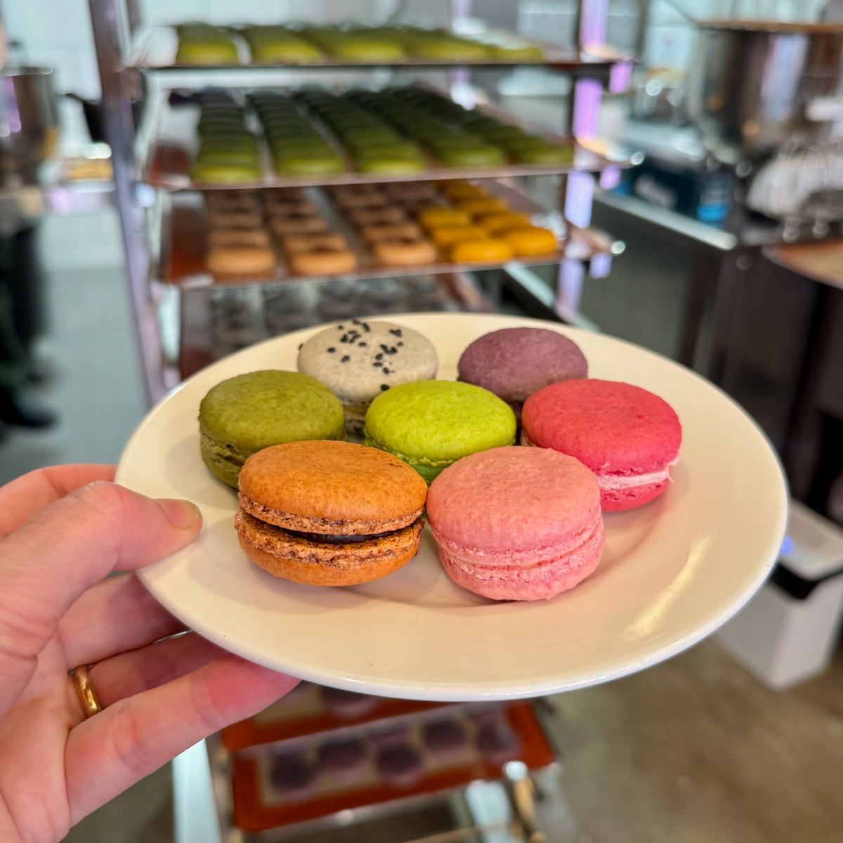 holding a plate of seven colourful macarons in front of trays of macaron shells in a patisserie