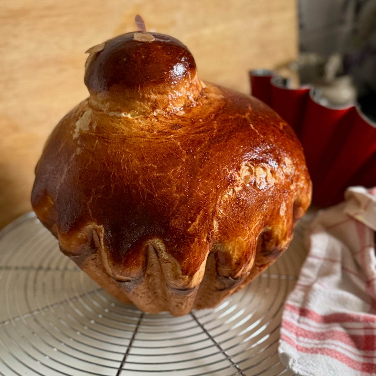 classic Parisian brioche with a little head on top