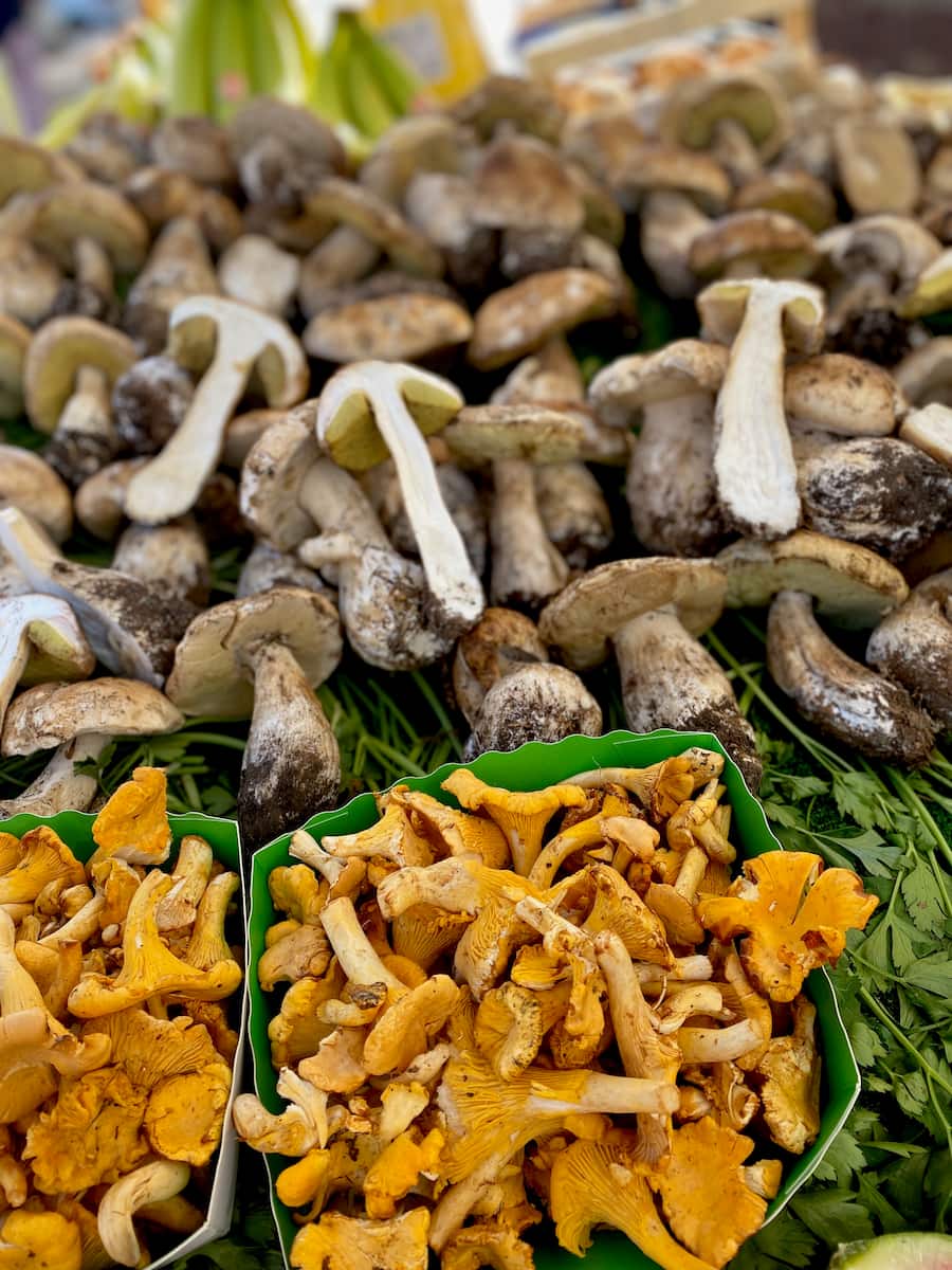 rows of cepe mushrooms at a French market and boxes of girolles