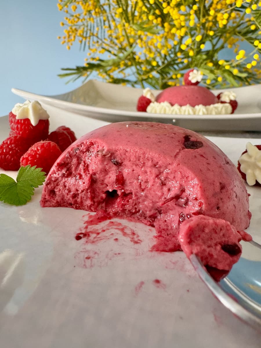 Bavarois or Bavarian cream dessert with red fruits