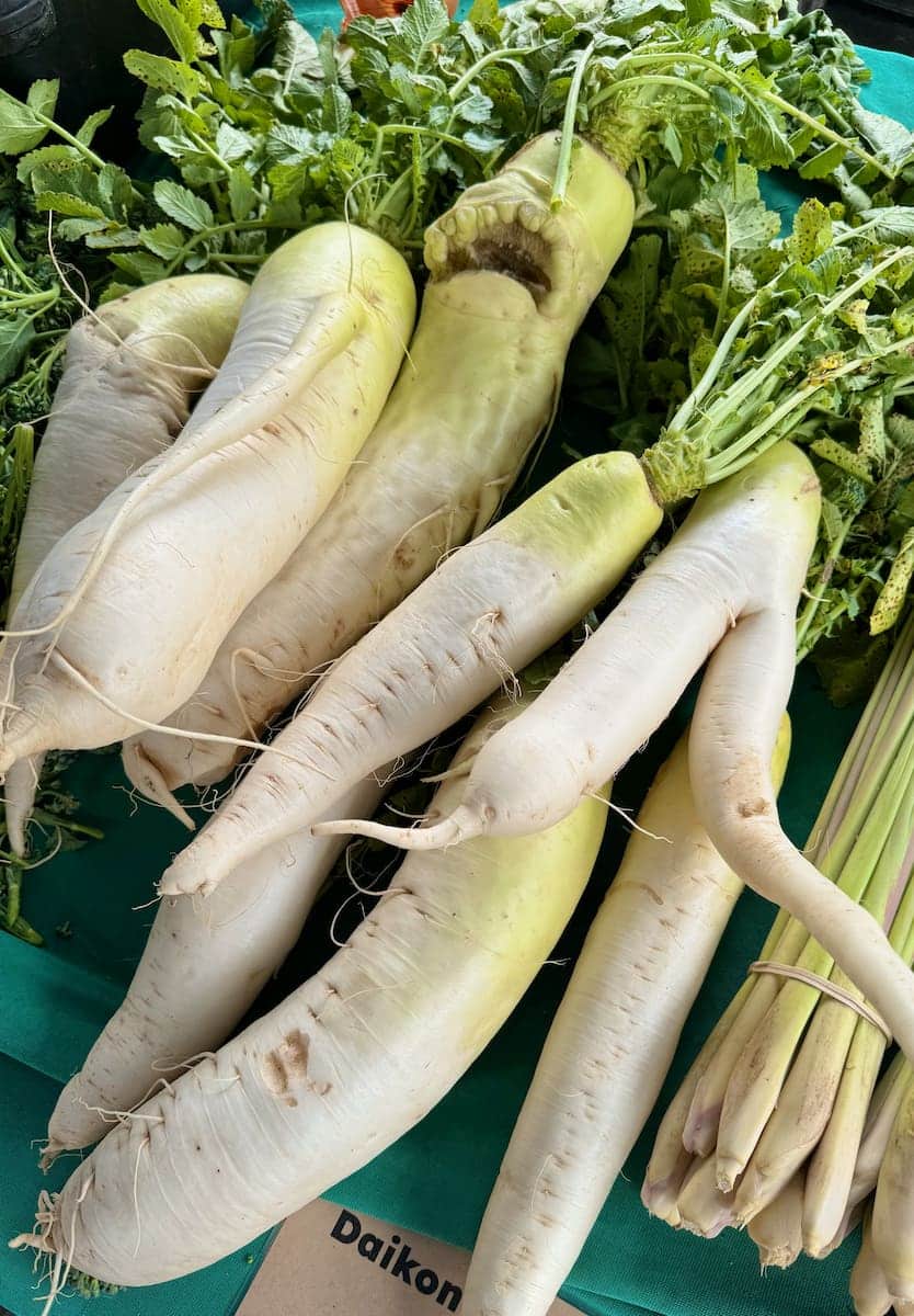long white radishes with green tops and funny shapes - one like a face, another with legs