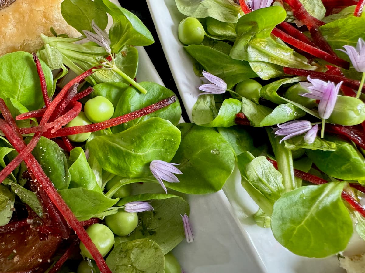 plates of green salad with lamb's lettuce, fresh peas, chives and spring onions