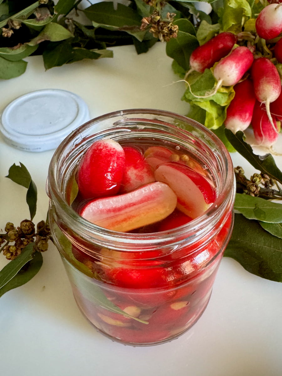 jar of pickled pink French breakfast radishes