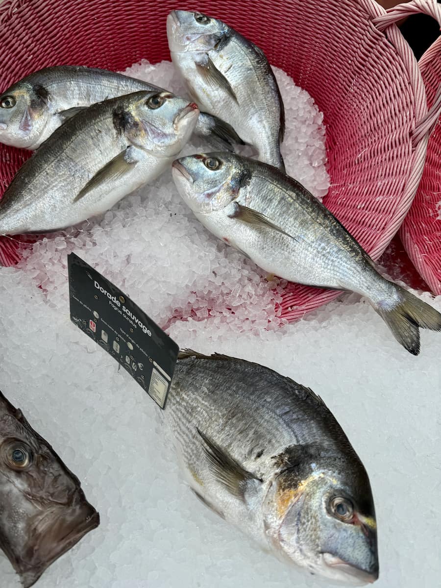 basket of whole sea bream fish at the French market with a sign saying Dorade