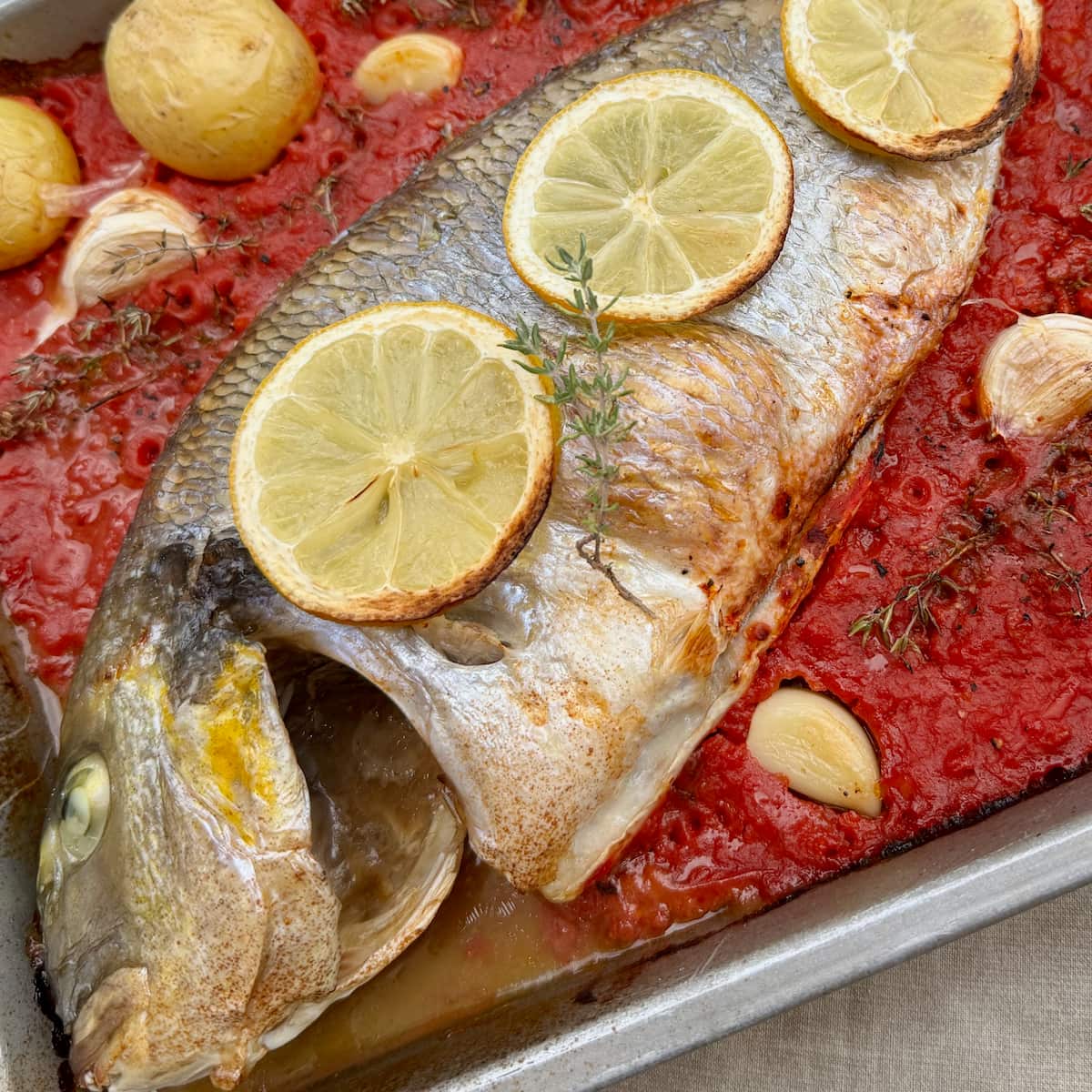 baked whole fish in tomato sauce, garlic and lemon