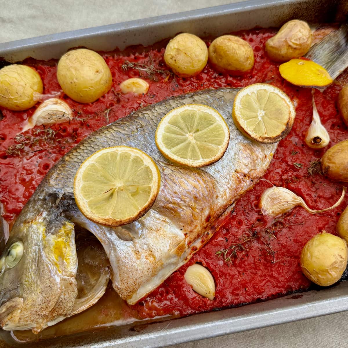 whole sea bream fish in a baking dish topped with tomato sauce, roast garlic cloves, lemon slices and potatoes