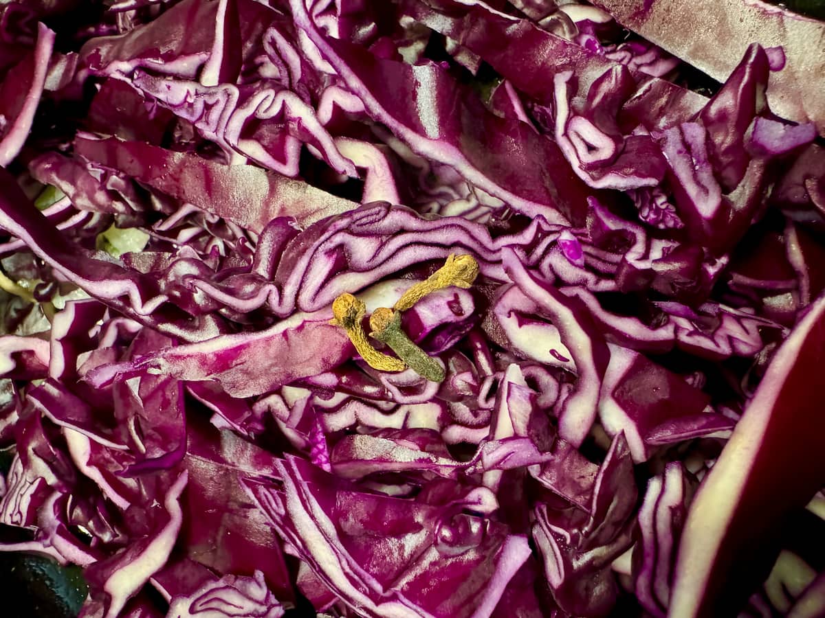 pot with sliced red cabbage topped with cloves