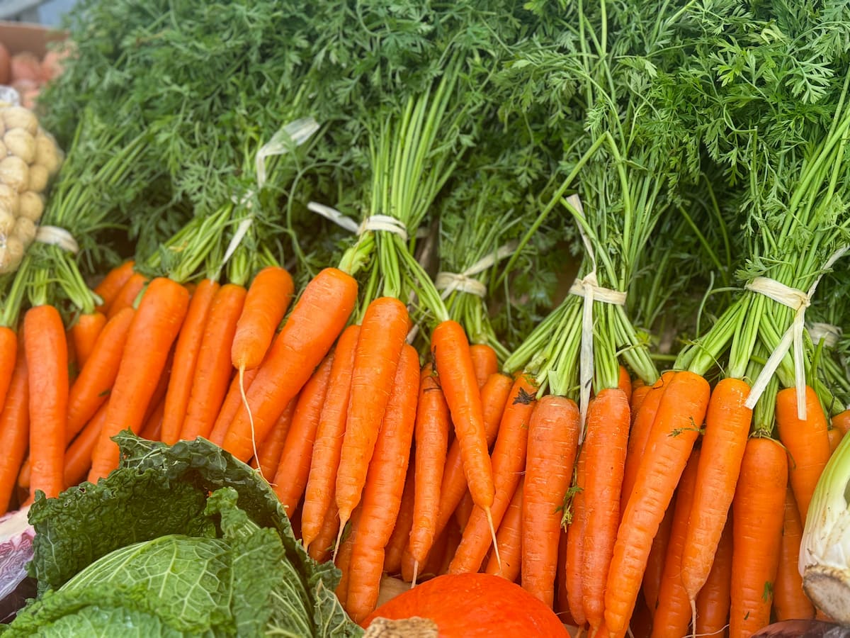 rows of fresh orange carrot bundles at the French farmers' market, with green tops 