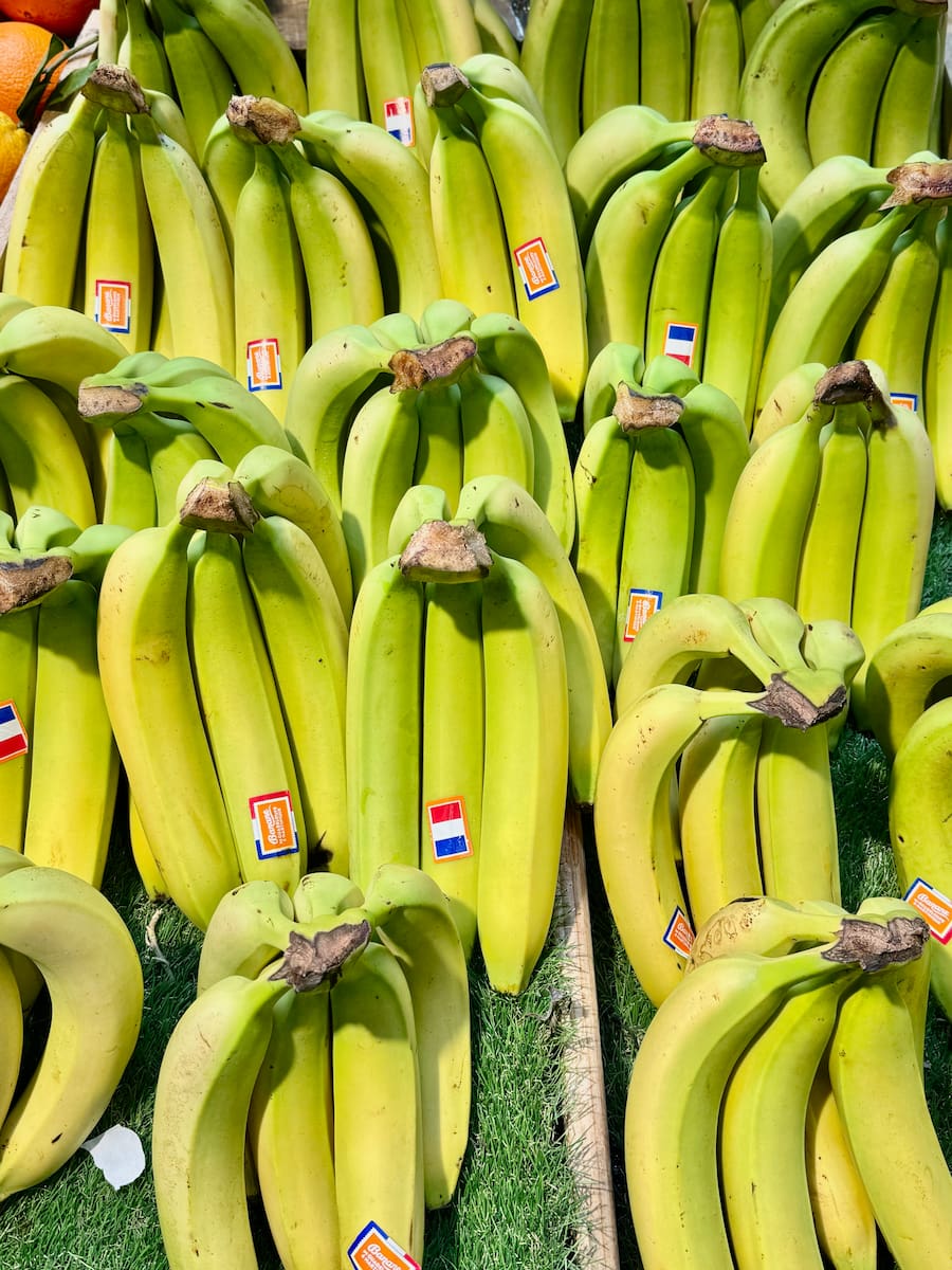 bunches of fresh green French bananas from Martinique and Guadaloupe