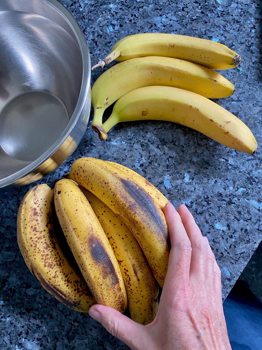 ripe speckled brown bananas next to green bananas