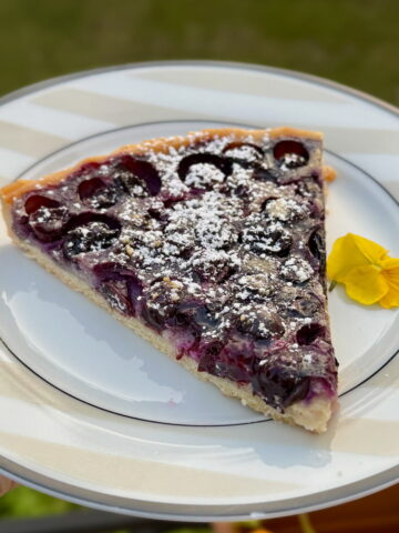 slice of French blueberry tart, baked in the oven with a crisp pâte sucrée pastry and dusted with powdered sugar