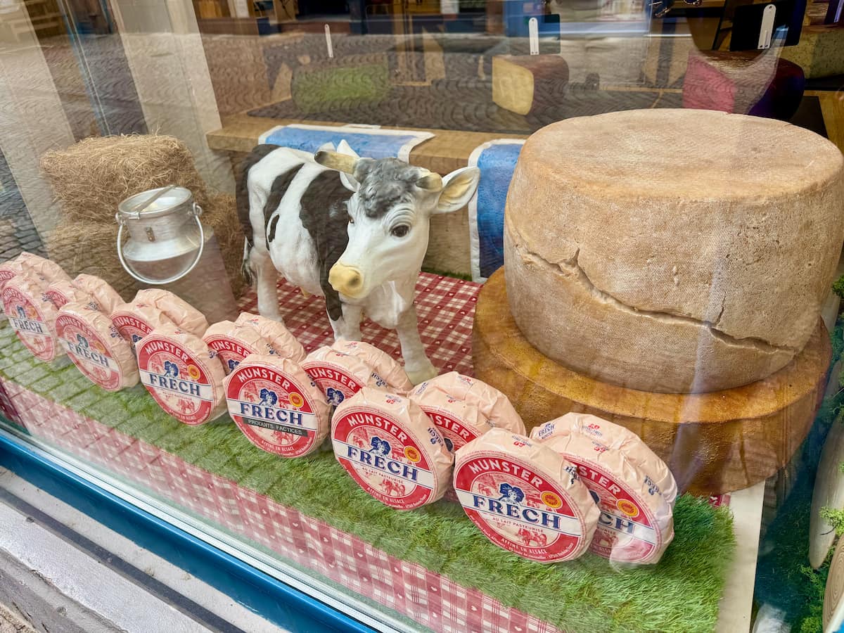 cheese shop window with a cow and rows of Munster cheese from Strasbourg